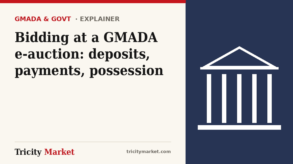 Tricity Market graphic with the headline: Bidding at a GMADA e-auction: deposits, payments, possession